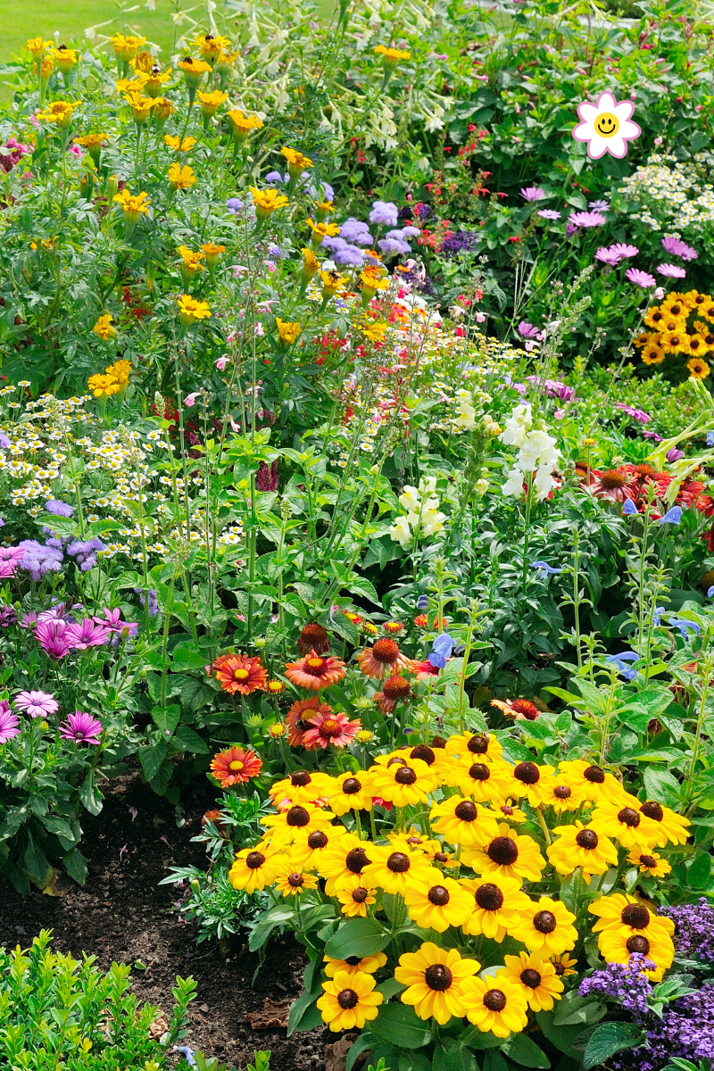 What  My Garden is Teaching&nbsp;Me