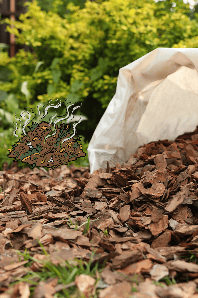 Should You Throw Out Old Mulch? (Spoiler Alert: Please&nbsp;Don’t!)