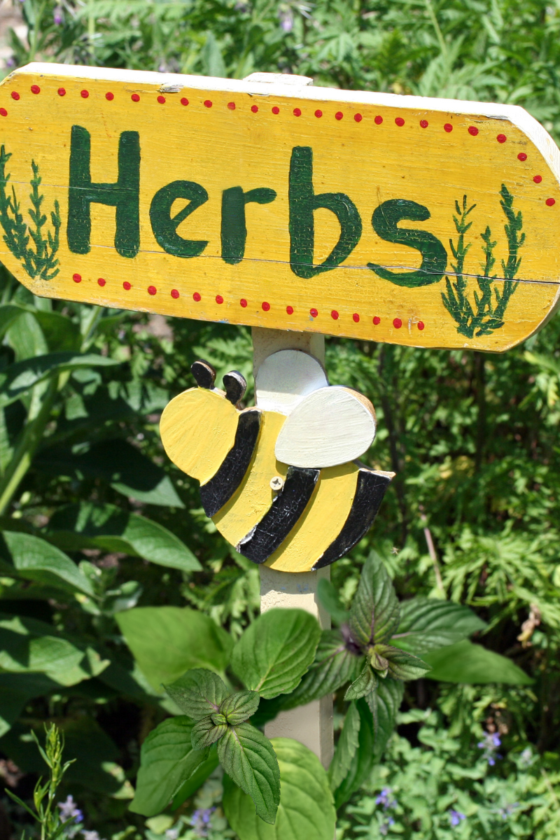 5 Herbs Everyone Should Grow for Health &&nbsp;Tea