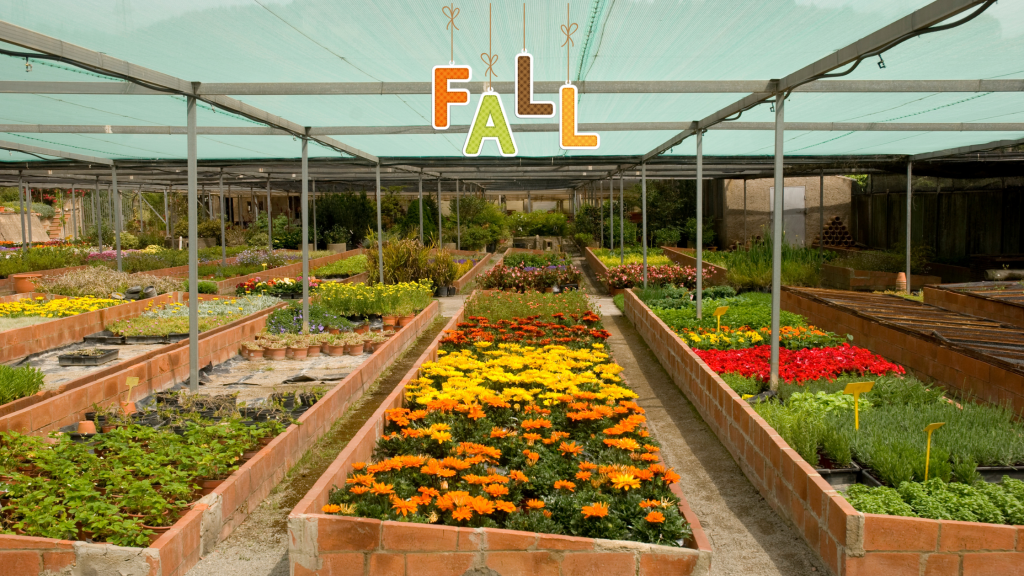 Why Fall Is Actually The Best Time To Plant (Stop Waiting For&nbsp;Spring!)